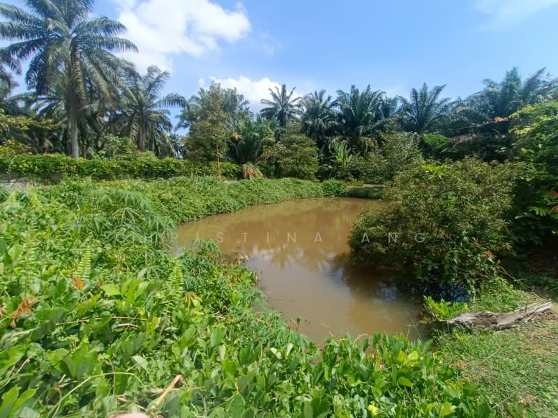 Agricultural Land for Sale in Kulai (Johor) - Christina Ang - Garden - PropertyGuru.com.my