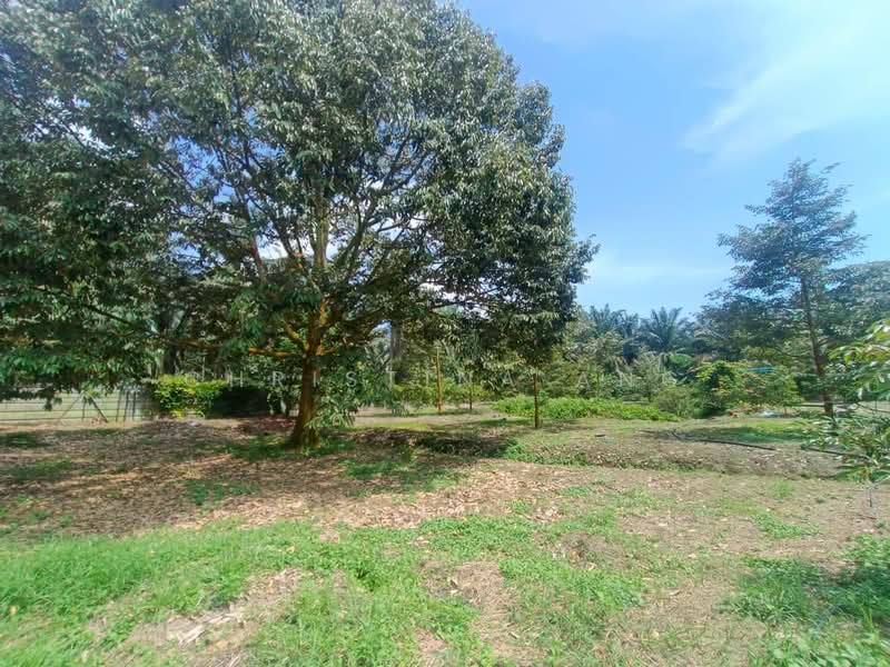 Agricultural Land for Sale in Kulai (Johor) - Christina Ang - Garden - PropertyGuru.com.my