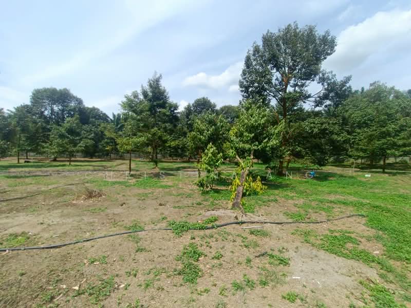 Agricultural Land for Sale in Kulai (Johor) - Christina Ang - Garden - PropertyGuru.com.my