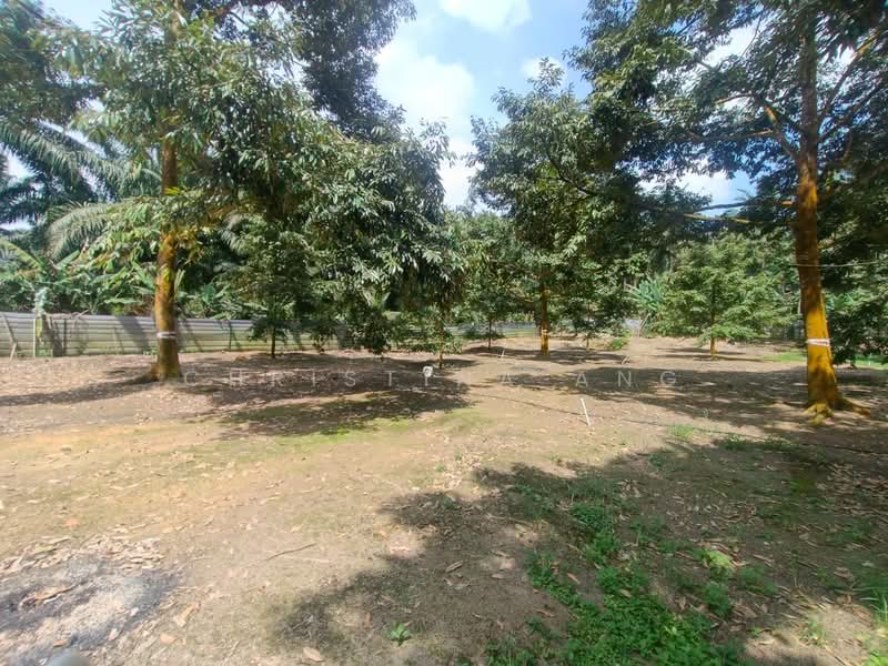 Agricultural Land for Sale in Kulai (Johor) - Christina Ang - Garden - PropertyGuru.com.my