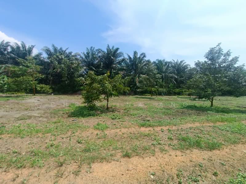 Agricultural Land for Sale in Kulai (Johor) - Christina Ang - Garden - PropertyGuru.com.my