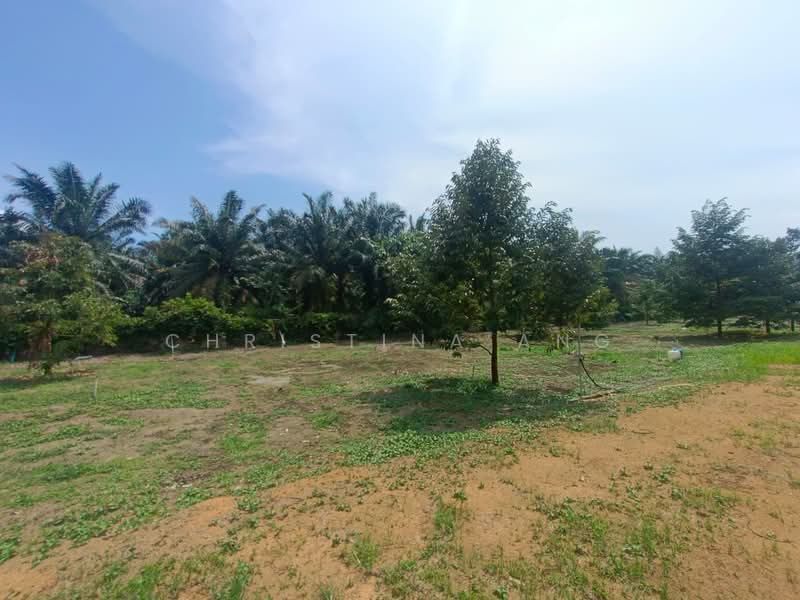 Agricultural Land for Sale in Kulai (Johor) - Christina Ang - Garden - PropertyGuru.com.my