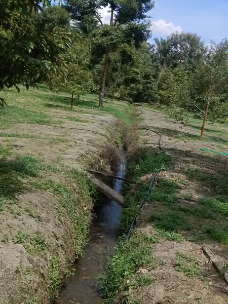 Agricultural Land for Sale in Kulai (Johor) - Christina Ang - Garden - PropertyGuru.com.my