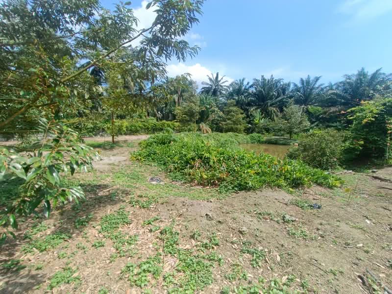 Agricultural Land for Sale in Kulai (Johor) - Christina Ang - Garden - PropertyGuru.com.my