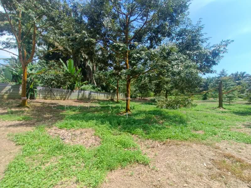 Agricultural Land for Sale in Kulai (Johor) - Christina Ang - Garden - PropertyGuru.com.my