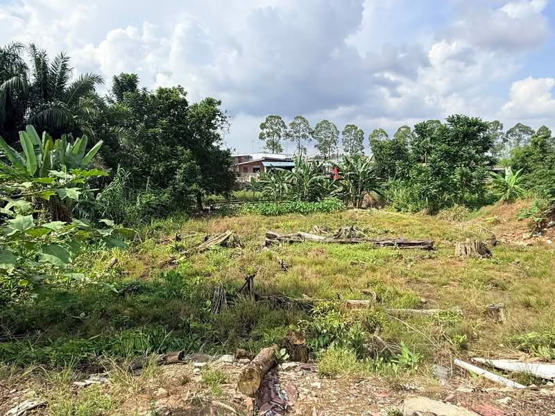 Agricultural Land for Sale in Kampung Sri Paya (Kulai) - ALHAFIZ AZIS - Exterior - PropertyGuru.com.my