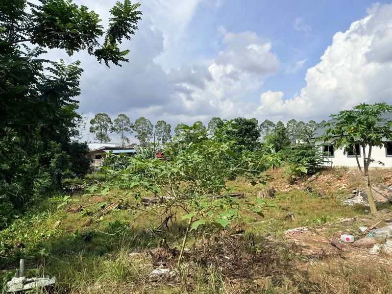 Agricultural Land for Sale in Kampung Sri Paya (Kulai) - ALHAFIZ AZIS - Exterior - PropertyGuru.com.my