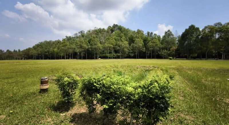Tanah Kediaman untuk Dijual di Eco Majestic (Semenyih) - Elen Hew - PropertyGuru.com.my