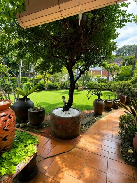 Rumah Banglo untuk Dijual di Bukit Damansara (Damansara Heights) - Justin Voon - Garden - PropertyGuru.com.my