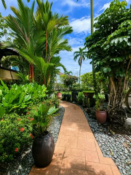 Rumah Banglo untuk Dijual di Bukit Damansara (Damansara Heights) - Justin Voon - Garden - PropertyGuru.com.my