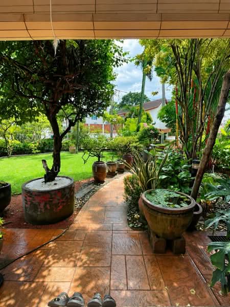 Rumah Banglo untuk Dijual di Bukit Damansara (Damansara Heights) - Justin Voon - Garden - PropertyGuru.com.my