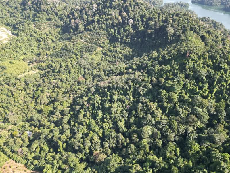 Agricultural Land for Sale in Seremban (Negeri Sembilan) - Lau King Wei - PropertyGuru.com.my