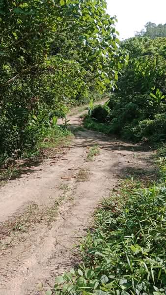 Agricultural Land for Sale in Bentong (Pahang) - Jenny Choong - Exterior - PropertyGuru.com.my