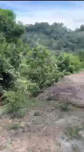 Agricultural Land for Sale in Bentong (Pahang) - Jenny Choong - Exterior - PropertyGuru.com.my