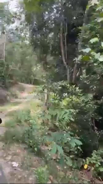 Agricultural Land for Sale in Bentong (Pahang) - Jenny Choong - PropertyGuru.com.my