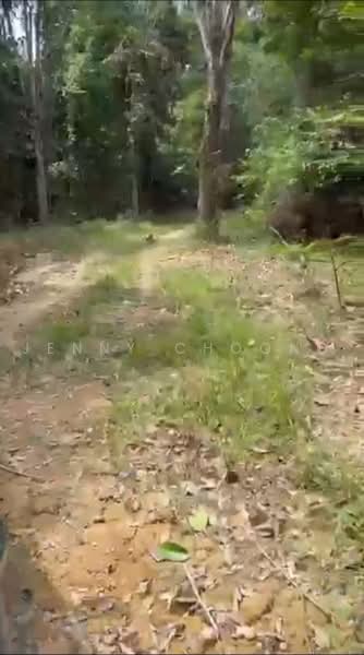 Agricultural Land for Sale in Bentong (Pahang) - Jenny Choong - Exterior - PropertyGuru.com.my