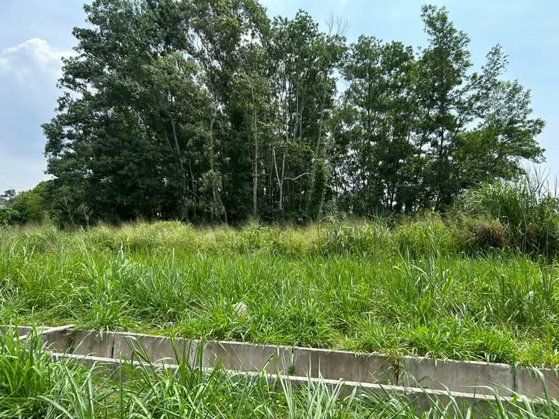 Agricultural Land for Rent in Kulim (Kedah) - BK Loi - Exterior - PropertyGuru.com.my