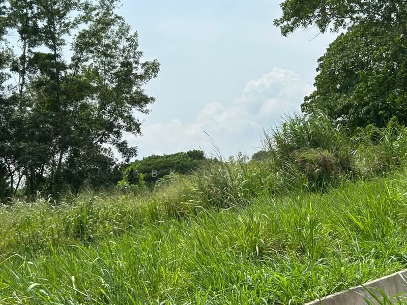 Agricultural Land for Rent in Kulim (Kedah) - BK Loi - Exterior - PropertyGuru.com.my