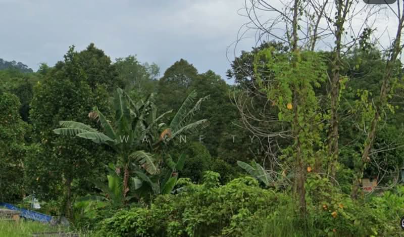 Agricultural Land for Sale in Semenyih (Selangor) - Wayne Tye - Exterior - PropertyGuru.com.my