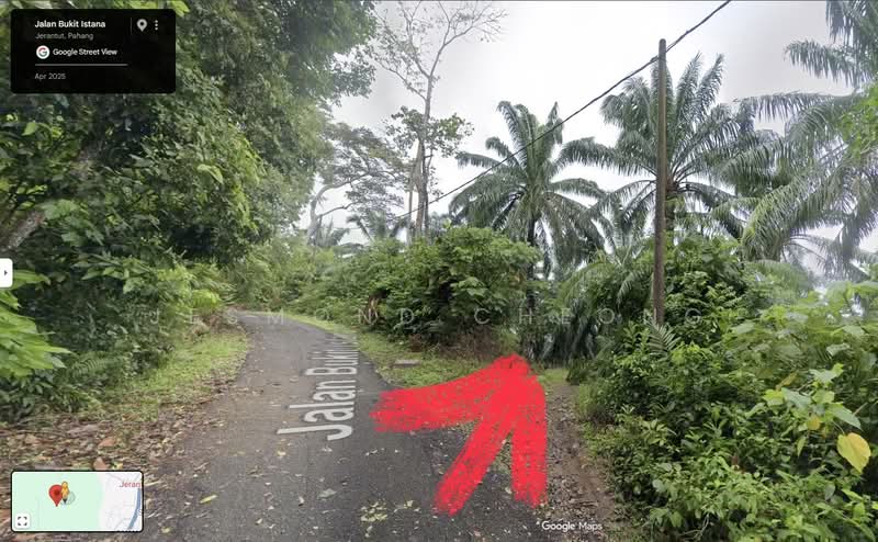Agricultural Land for Sale in Jerantut (Pahang) - Jesmond Cheong - PropertyGuru.com.my