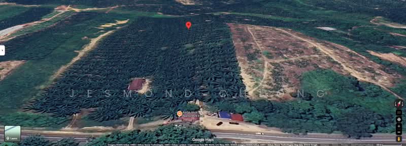 Agricultural Land for Sale in Jerantut (Pahang) - Jesmond Cheong - PropertyGuru.com.my