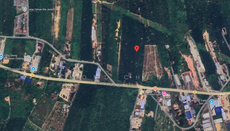 Agricultural Land for Sale in Jerantut (Pahang) - Jesmond Cheong - PropertyGuru.com.my