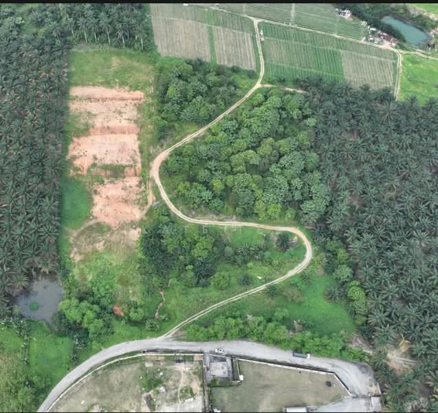 Agricultural Land for Sale in Bandar Kulai (Kulai) - Kate Tee - Exterior - PropertyGuru.com.my