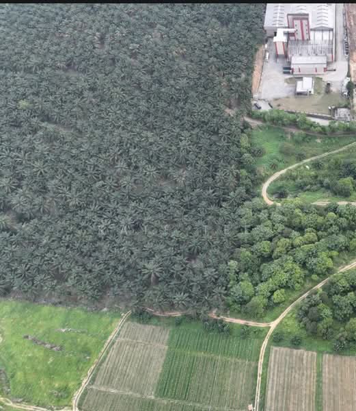 Agricultural Land for Sale in Bandar Kulai (Kulai) - Kate Tee - Exterior - PropertyGuru.com.my