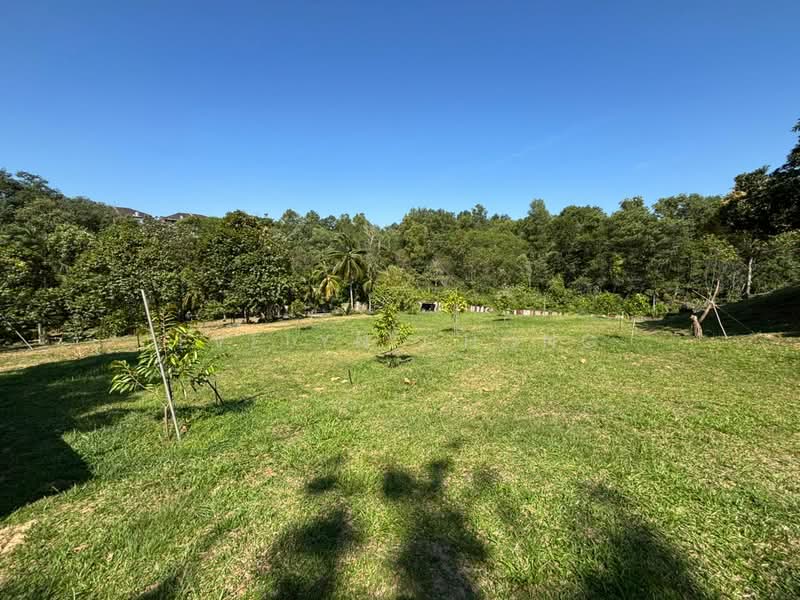 Agricultural Land for Sale in Senawang (Negeri Sembilan) - Evelyn Chong - Garden - PropertyGuru.com.my