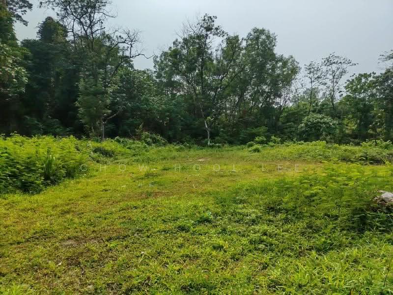 Bungalow Land for Sale in Bandar Puteri Puchong (Puchong) - Chow Hooi Lee - Garden - PropertyGuru.com.my