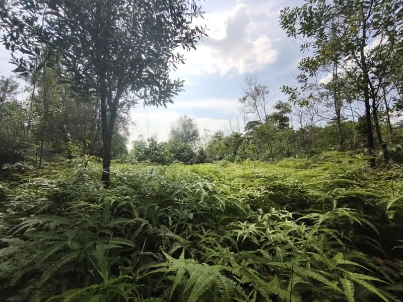 Tanah Kediaman untuk Dijual di Bukit Beruntung (Serendah) - SEAN TAN - Exterior - PropertyGuru.com.my