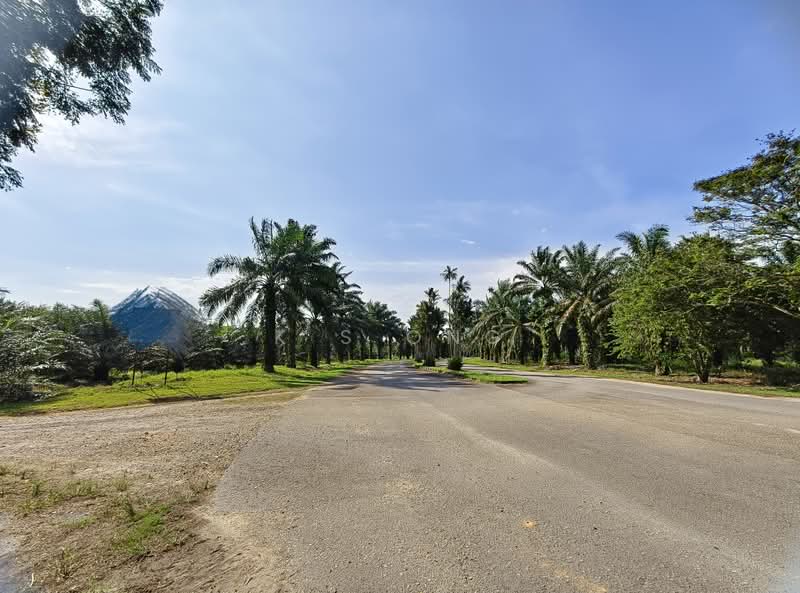 Tanah Pertanian untuk Dijual di Sedenak (Johor) - K S Ong - Exterior - PropertyGuru.com.my
