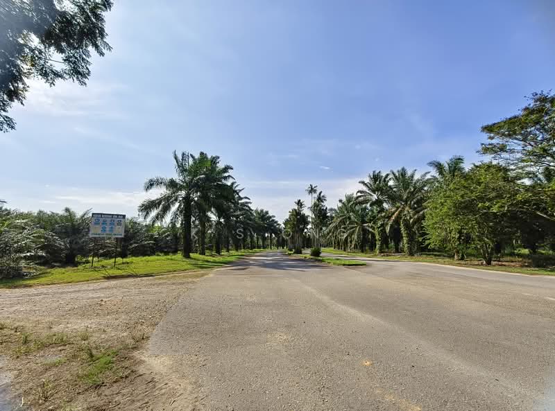 Tanah Pertanian untuk Dijual di Sedenak (Johor) - K S Ong - Exterior - PropertyGuru.com.my