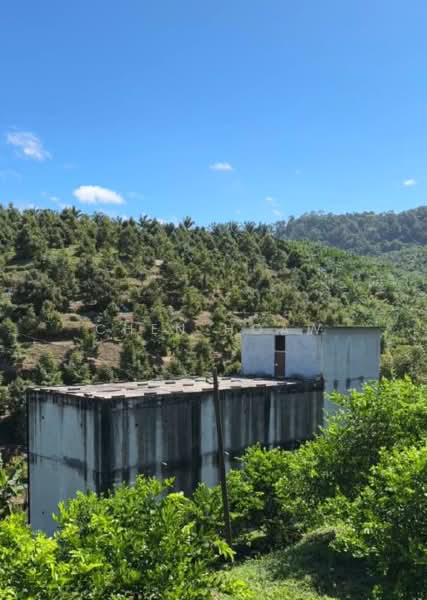 Tanah Pertanian untuk Dijual di Kulim (Kedah) - Chen Hoaw - Exterior - PropertyGuru.com.my
