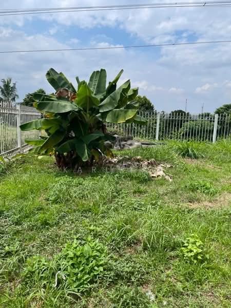Rumah Teres 1.5 Tingkat untuk Dijual di Taman Pelangi (Johor Bahru) - Karl Lim - Exterior - PropertyGuru.com.my