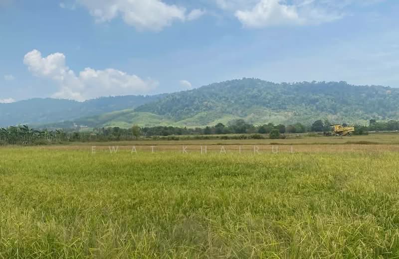 Agricultural Land for Sale in Kuah (Kedah) - Ewat Khairul - Exterior - PropertyGuru.com.my