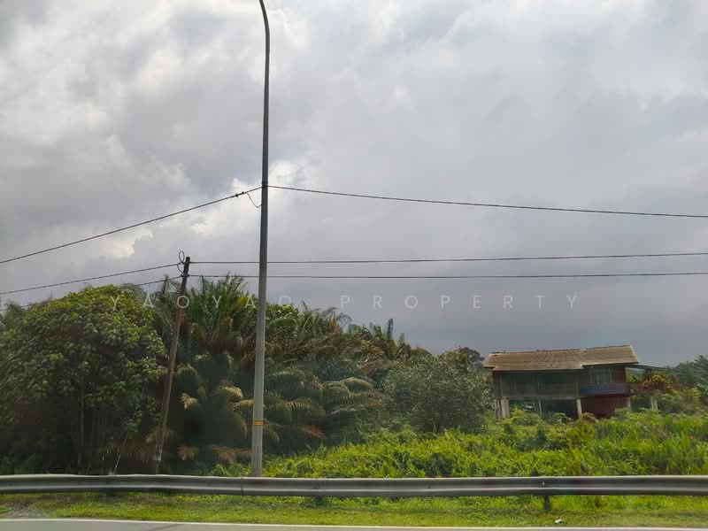 Agricultural Land for Sale in Tmn Perindustrian Pekan Nenas 1 (Pekan Nanas) - Yaoyao Property - PropertyGuru.com.my