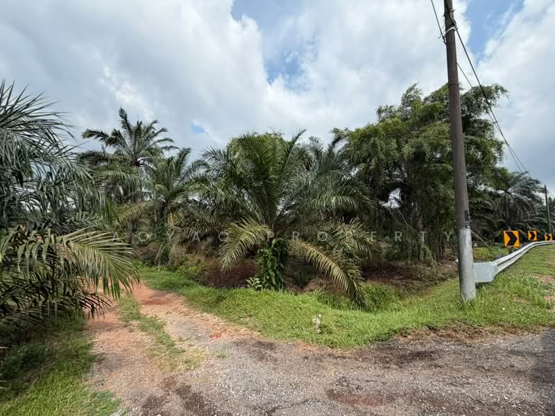 Agricultural Land for Sale in Tmn Perindustrian Pekan Nenas 1 (Pekan Nanas) - Yaoyao Property - PropertyGuru.com.my