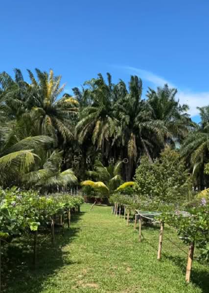 Tanah Kediaman untuk Dijual di Kulim (Kedah) - Chen Hoaw - Garden - PropertyGuru.com.my