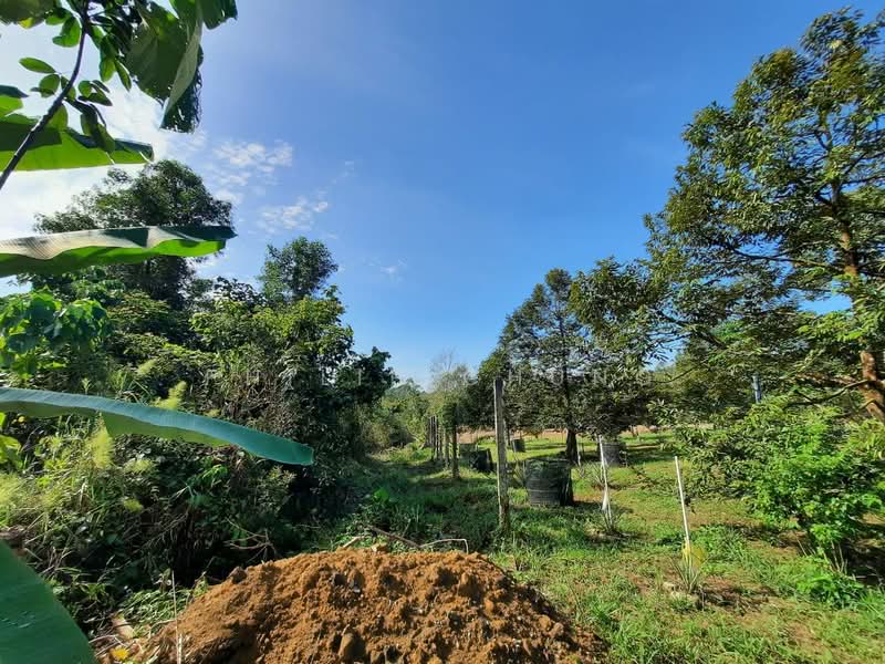 Tanah Banglo untuk Dijual di Beranang (Selangor) - Philip Chung - Garden - PropertyGuru.com.my