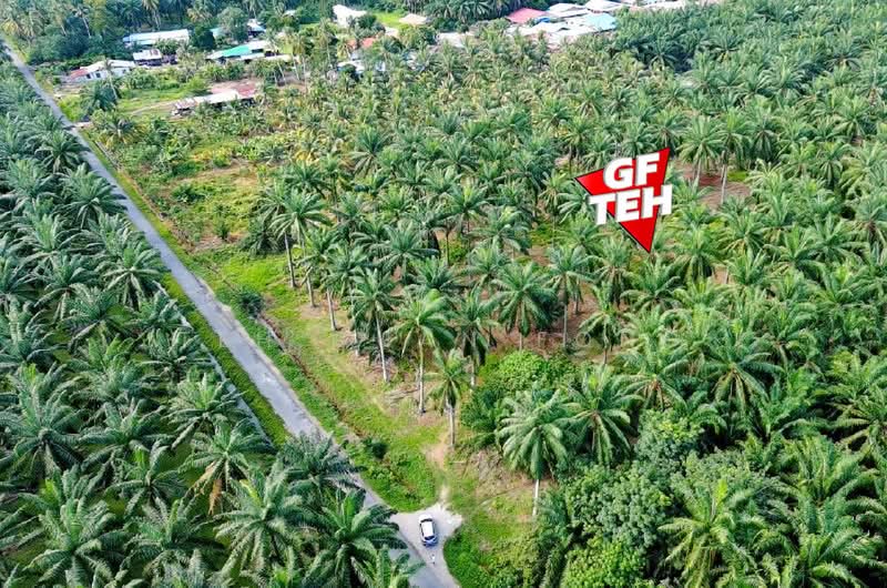 Agricultural Land for Sale in Sungai Bakap (Penang) - Teh Guan Fong - Exterior - PropertyGuru.com.my