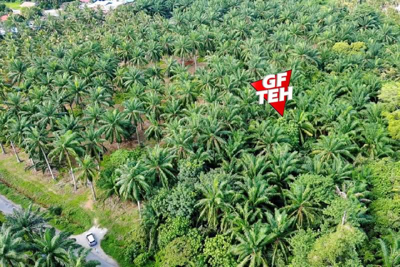 Agricultural Land for Sale in Sungai Bakap (Penang) - Teh Guan Fong - Exterior - PropertyGuru.com.my