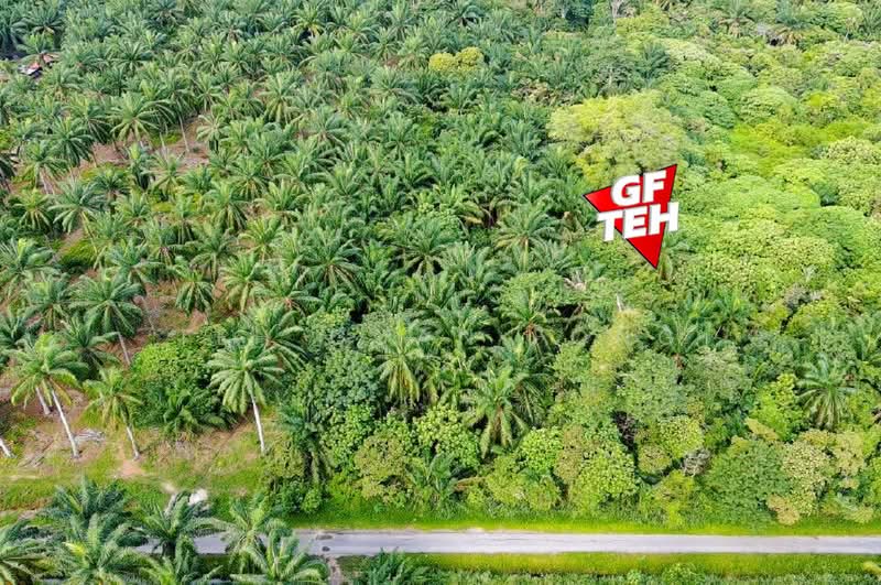 Agricultural Land for Sale in Sungai Bakap (Penang) - Teh Guan Fong - PropertyGuru.com.my