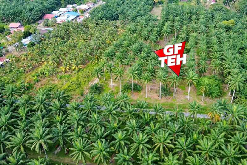 Agricultural Land for Sale in Sungai Bakap (Penang) - Teh Guan Fong - Exterior - PropertyGuru.com.my