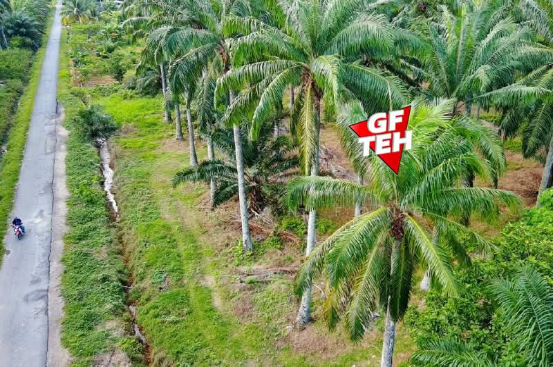 Agricultural Land for Sale in Sungai Bakap (Penang) - Teh Guan Fong - Exterior - PropertyGuru.com.my