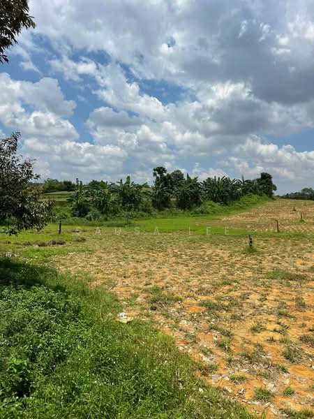 Agricultural Land for Sale in Senai (Johor) - Sausa Lee - Exterior - PropertyGuru.com.my
