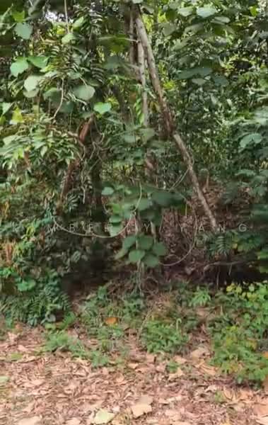 Tanah Banglo untuk Dijual di Kayangan Heights (Shah Alam) - Kimberly Yang - PropertyGuru.com.my