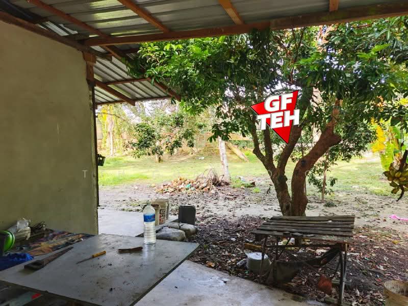 Tanah Pertanian untuk Dijual di Bukit Mertajam (Penang) - Teh Guan Fong - Exterior - PropertyGuru.com.my