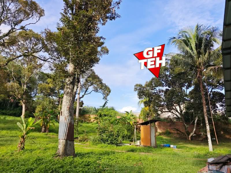 Tanah Pertanian untuk Dijual di Bukit Mertajam (Penang) - Teh Guan Fong - Exterior - PropertyGuru.com.my