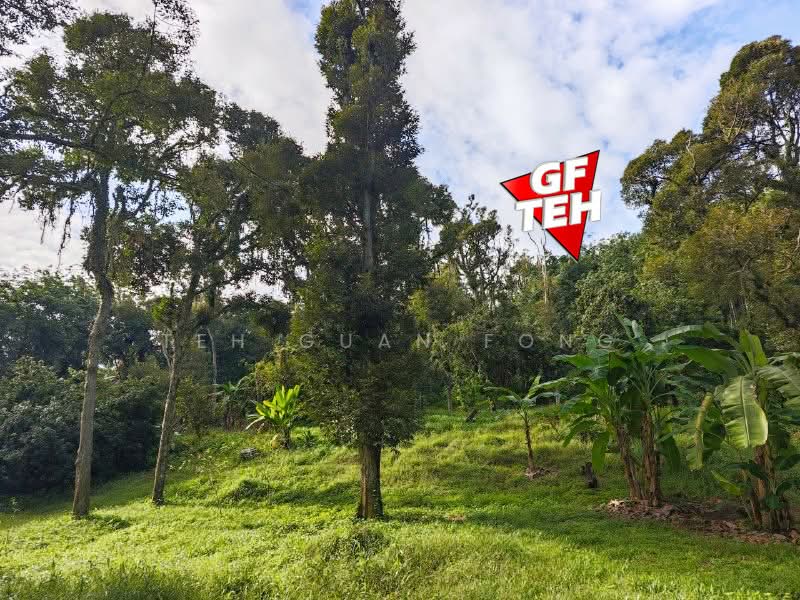 Tanah Pertanian untuk Dijual di Bukit Mertajam (Penang) - Teh Guan Fong - Exterior - PropertyGuru.com.my